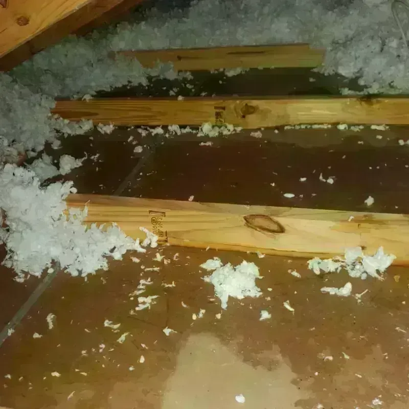 Attic Water Damage in Wahkiakum County, WA