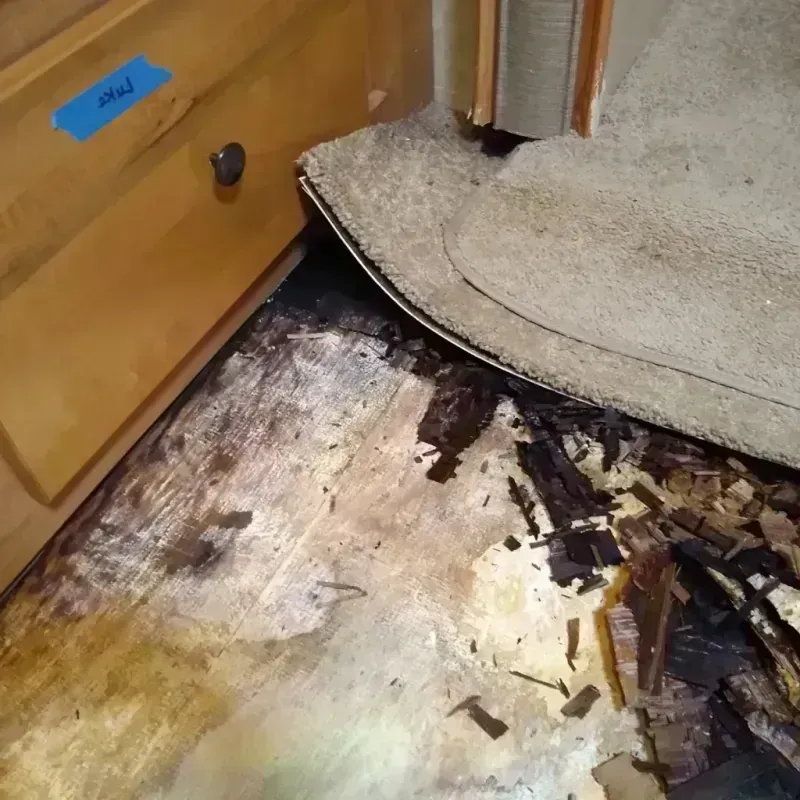 Wood Floor Water Damage in Wahkiakum County, WA